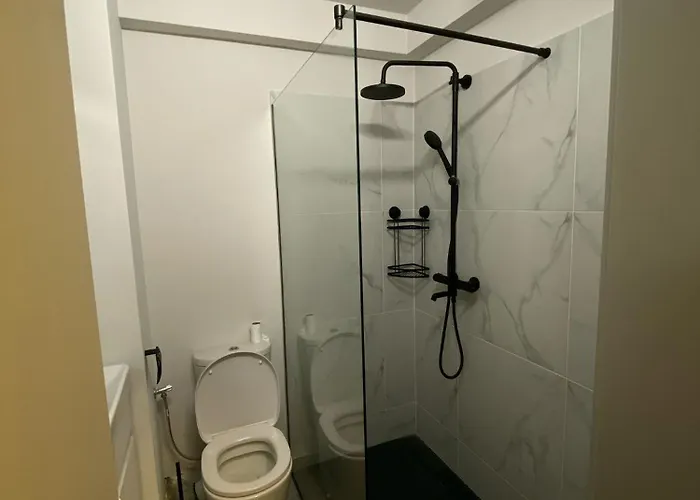 Maniu-apusului Apartment